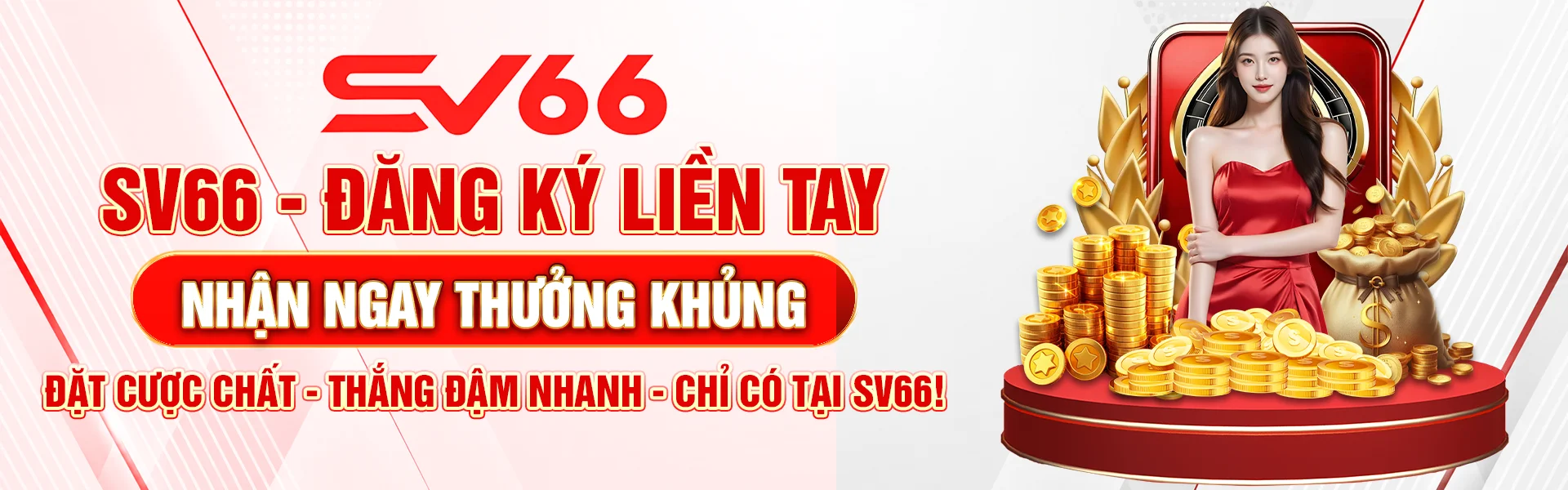 Banner SV66 Pc