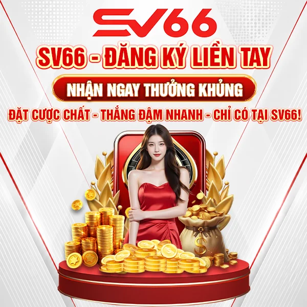 Banner Sv66 Mb