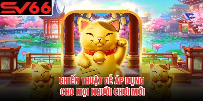 Chiến thuật dễ áp dụng cho mọi người chơi mới