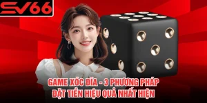 Game Xóc Đĩa - 3 Phương Pháp Đặt Tiền Hiệu Quả Nhất Hiện