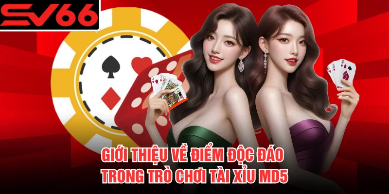 Giới thiệu về điểm độc đáo trong trò chơi Tài Xỉu MD5