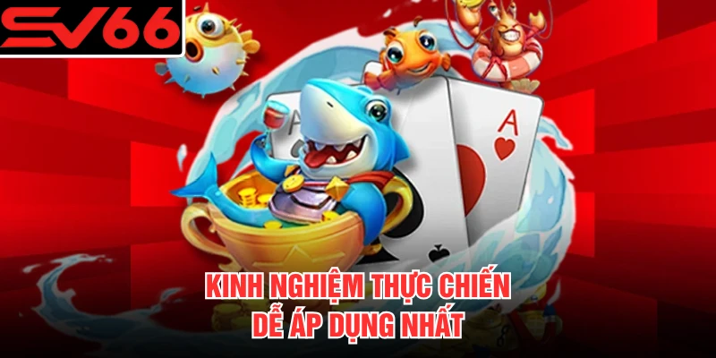 Kinh nghiệm thực chiến dễ áp dụng nhất