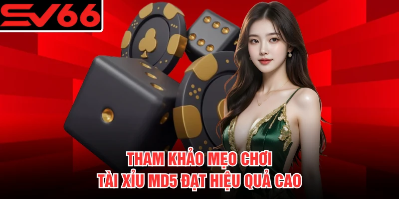 Tham khảo mẹo chơi Tài Xỉu MD5 đạt hiệu quả cao