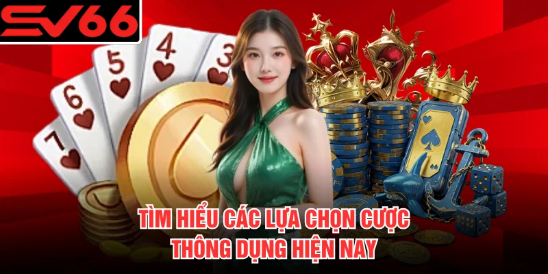 Tìm hiểu các lựa chọn cược thông dụng hiện nay