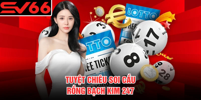 Tuyệt chiêu soi cầu rồng bạch kim 247